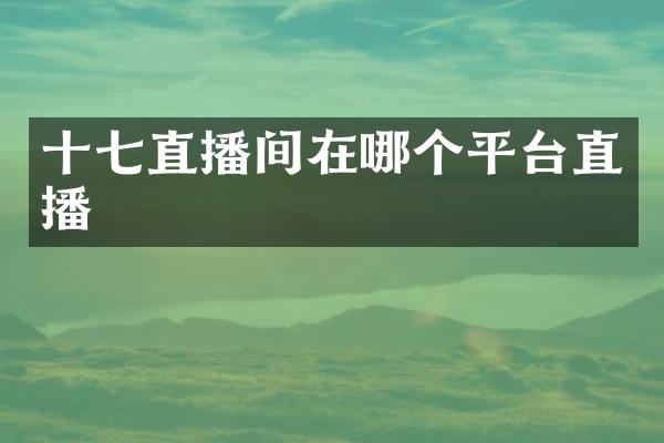 十七直播间在哪个平台直播