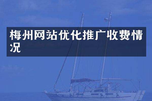 梅州网站优化推广收费情况