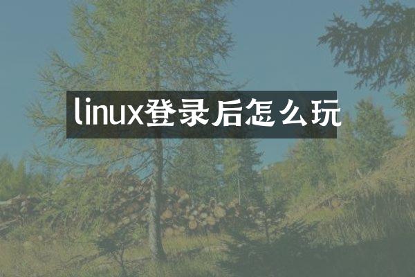 linux登录后怎么玩