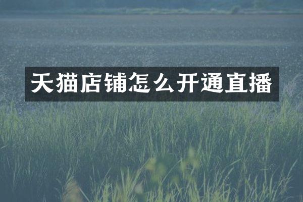 天猫店铺怎么开通直播