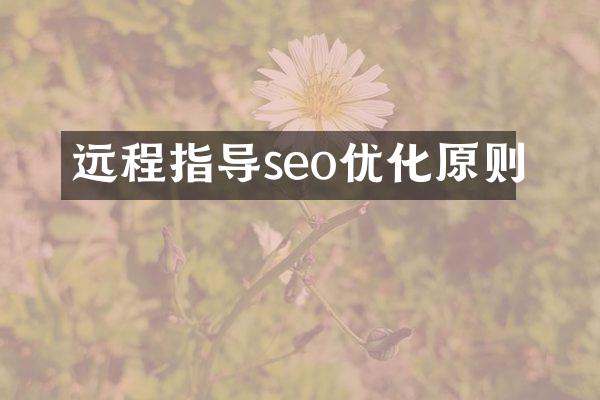 远程指导seo优化原则