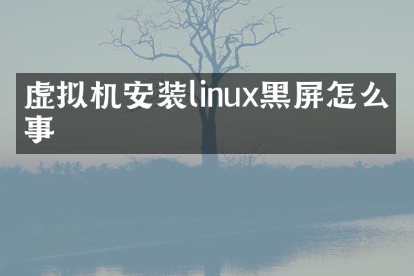 虚拟机安装linux黑屏怎么回事