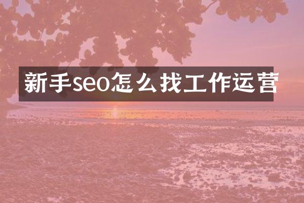 新手seo怎么找工作运营