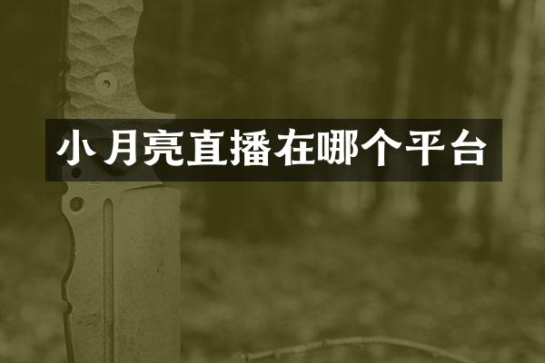 小月亮直播在哪个平台