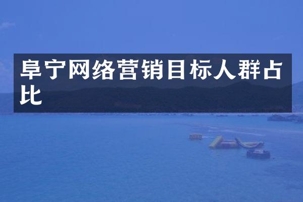 阜宁网络营销目标人群占比