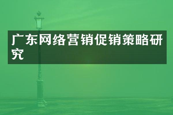 广东网络营销促销策略研究