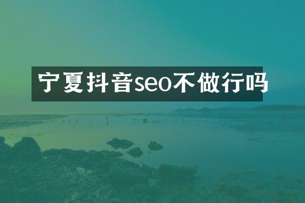 宁夏抖音seo不做行吗