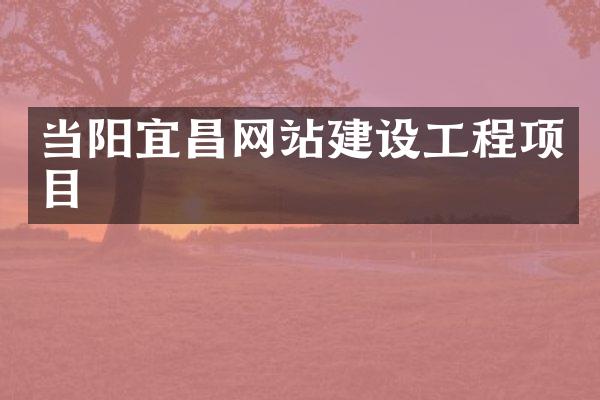 当阳宜昌网站建设工程项目