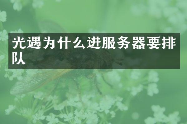 光遇为什么进服务器要排队