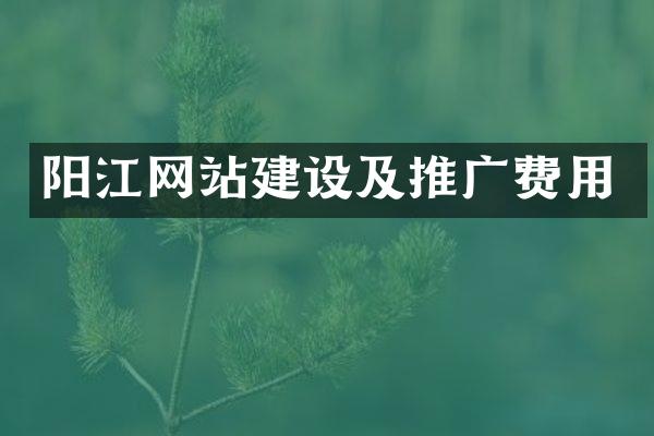阳江网站建设及推广费用