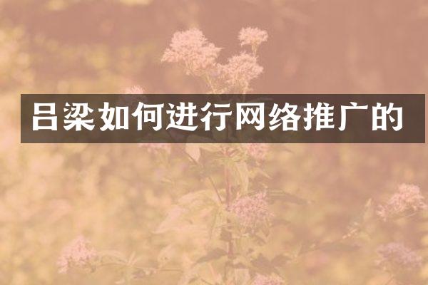 吕梁如何进行网络推广的