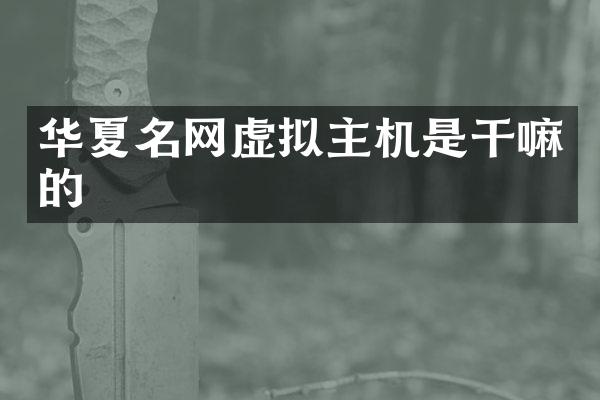 华夏名网虚拟主机是干嘛的