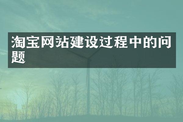 淘宝网站建设过程中的问题
