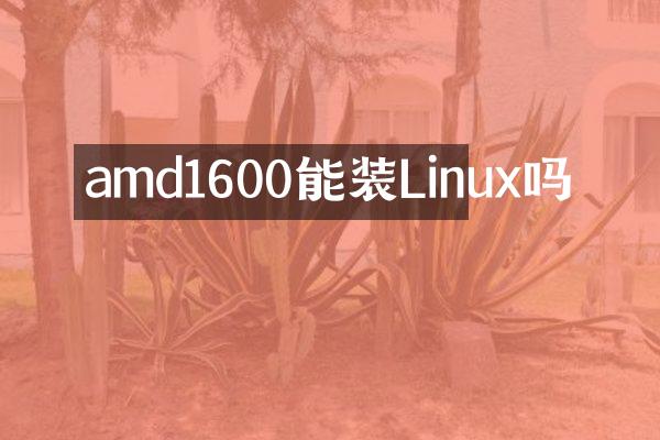 amd1600能装Linux吗