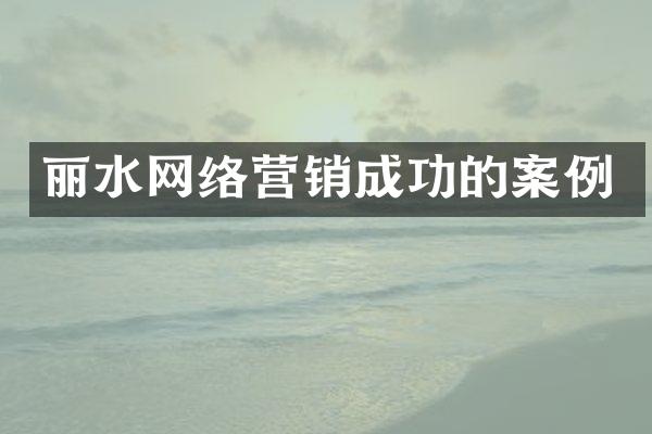 丽水网络营销成功的案例