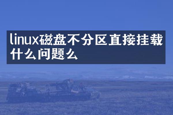 linux磁盘不分区直接挂载有什么问题么