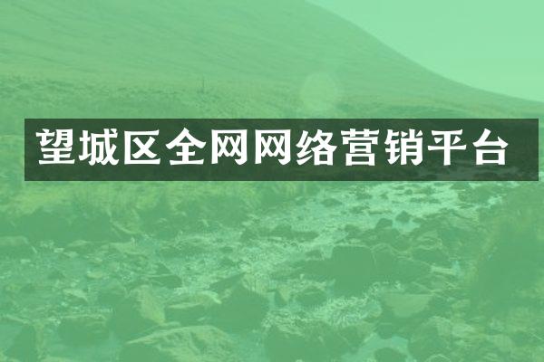 望城区全网网络营销平台