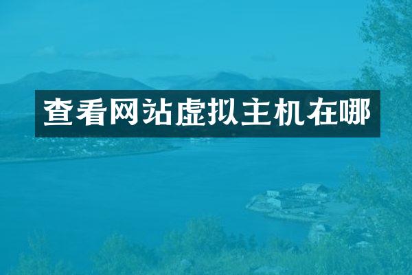 查看网站虚拟主机在哪