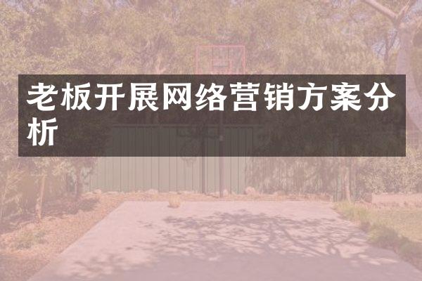 老板开展网络营销方案分析