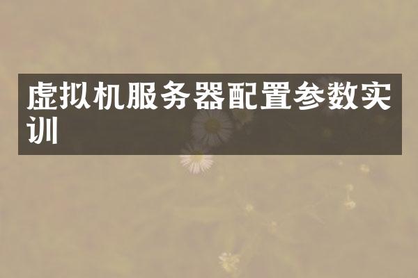 虚拟机服务器配置参数实训