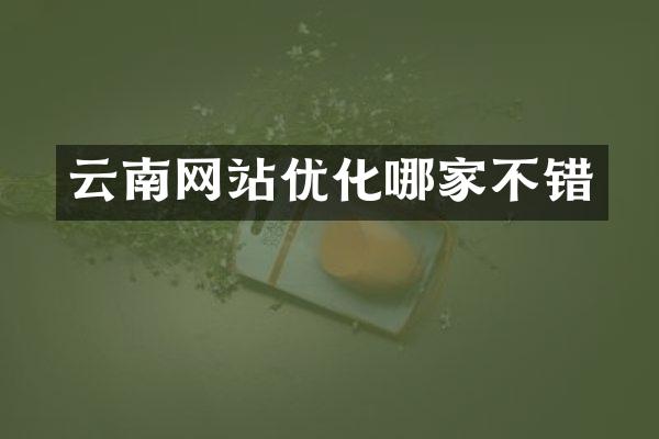 云南网站优化哪家不错