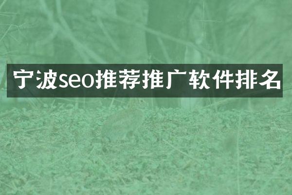 宁波seo推荐推广软件排名