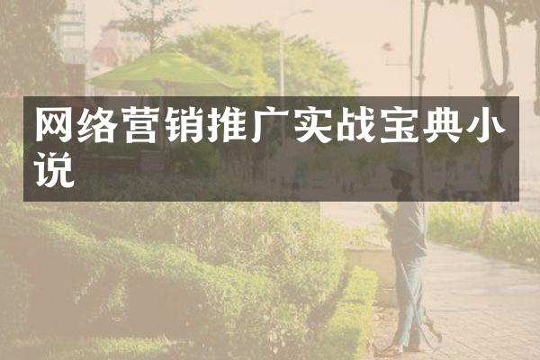 网络营销推广实战宝典小说