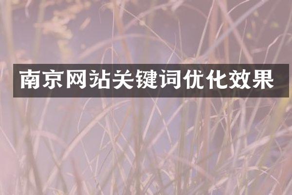 南京网站关键词优化效果
