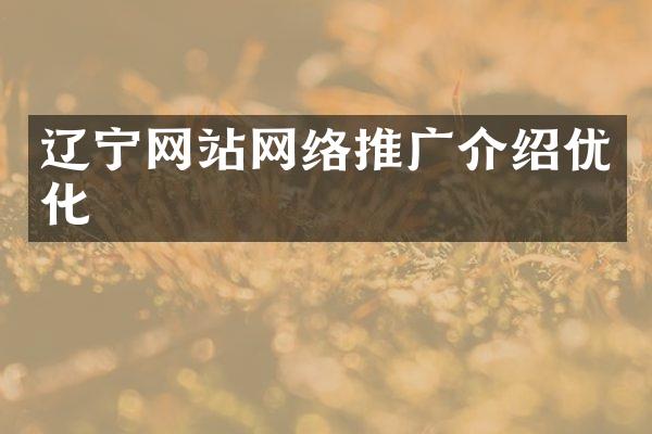 辽宁网站网络推广介绍优化