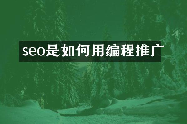 seo是如何用编程推广