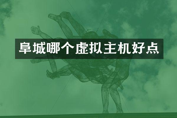 阜城哪个虚拟主机好点