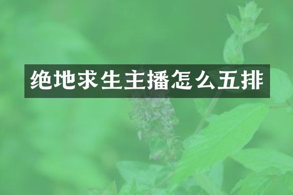 绝地求生主播怎么五排