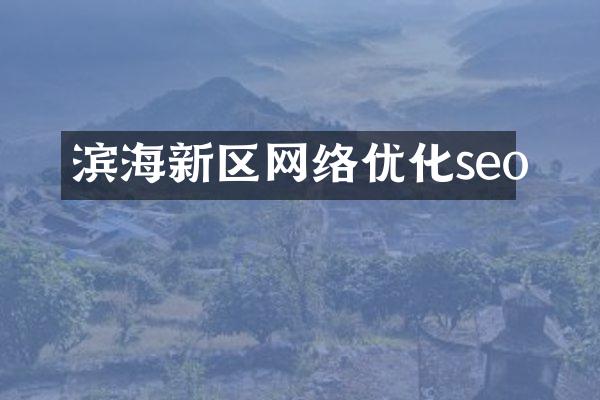 滨海新区网络优化seo