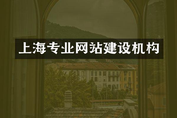 上海专业网站建设机构