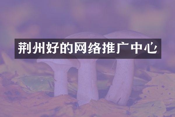荆州好的网络推广中心