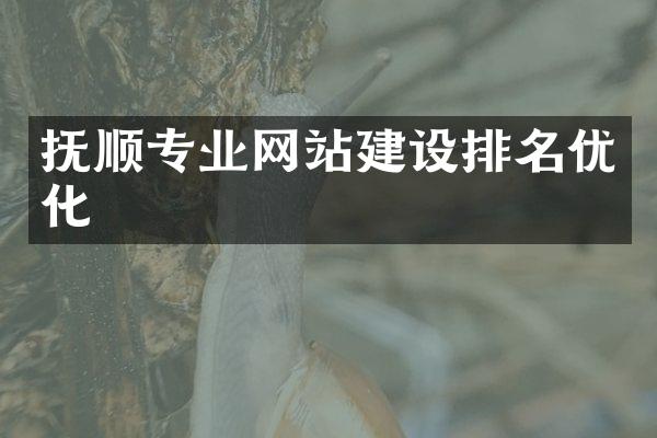 抚顺专业网站建设排名优化
