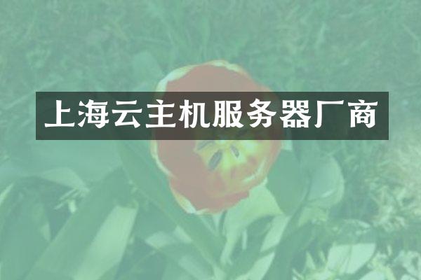上海云主机服务器厂商