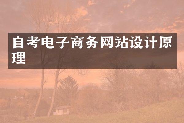 自考电子商务网站设计原理