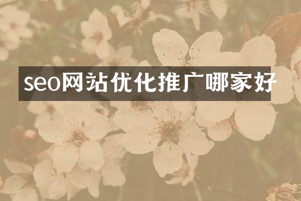 seo网站优化推广哪家好