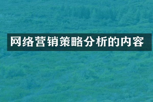 网络营销策略分析的内容