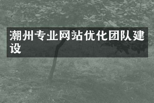 潮州专业网站优化团队建设