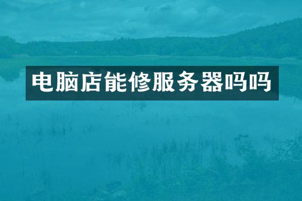 电脑店能修服务器吗吗