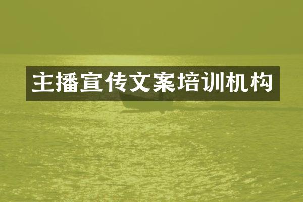 主播宣传文案培训机构