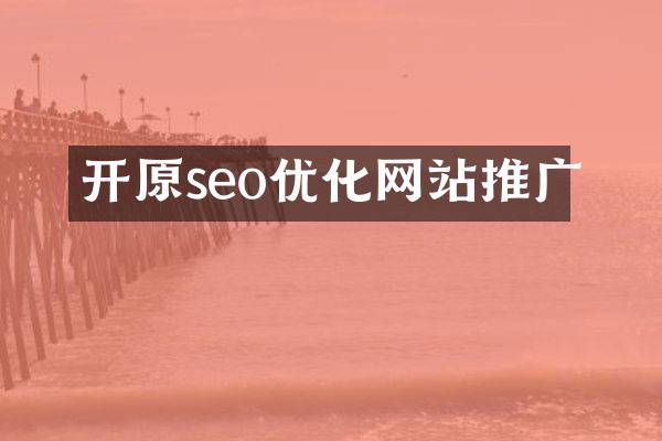 开原seo优化网站推广