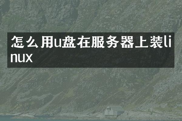 怎么用u盘在服务器上装linux