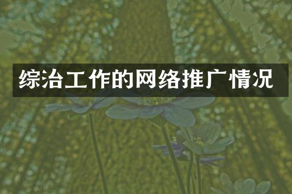 综治工作的网络推广情况