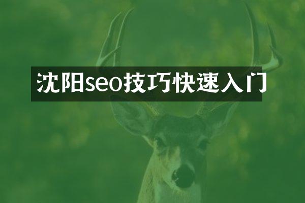 沈阳seo技巧快速入门