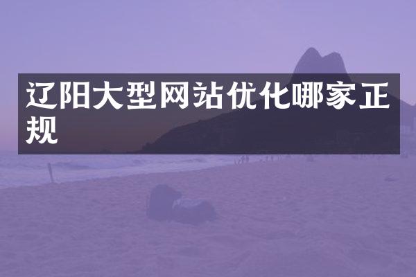 辽阳大型网站优化哪家正规