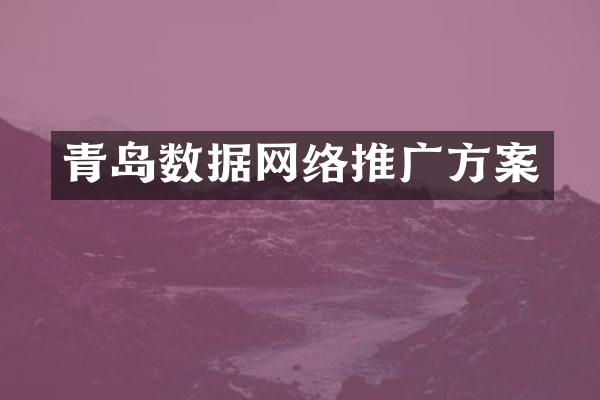 青岛数据网络推广方案