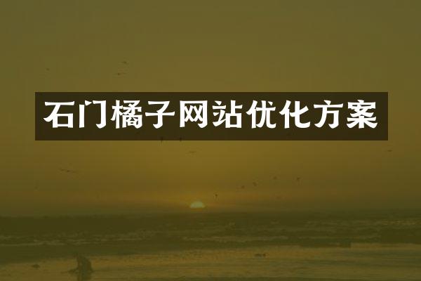 石门橘子网站优化方案